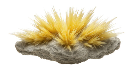 Sklodowskite specimen featuring pale yellow color and acicular crystals