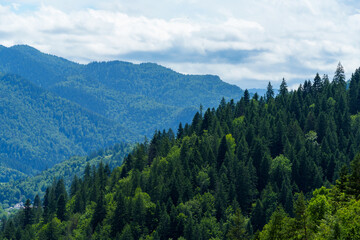 beautiful panoramic view of the Carpathian Mountains from height