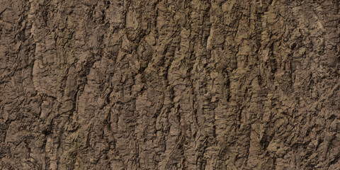 Textured Cork Oak Bark