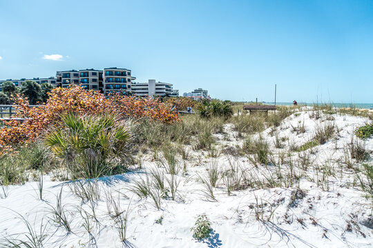 anna maria island and bradenton beach florida scenery in summer