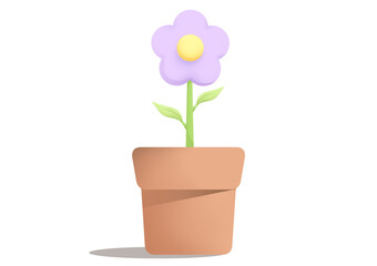 flower in pot