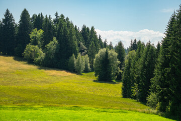 panoramic view over steep mountains in Vorarlberg, stony and rocky mountain with alpine meadows, hikers path way through pasture, bushes and boulders over ridge up to the summit, holiday destination