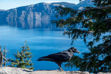 Lake view of the lake in the mountains