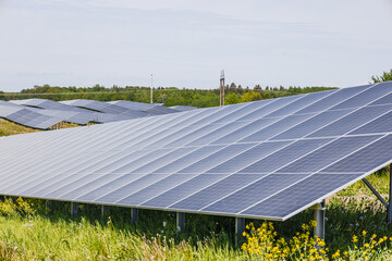 Large Solar Panel Array Generating Renewable Power