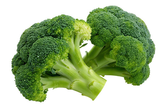 Close up shot of fresh green broccoli florets on an isolated white background for healthy cuisine