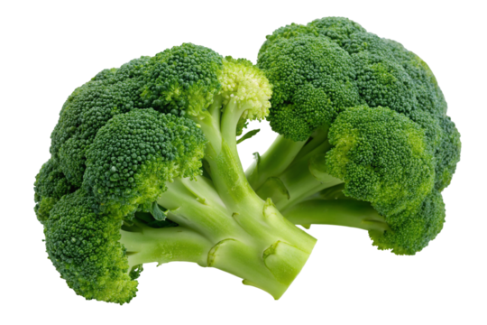 Close up shot of fresh green broccoli florets on an isolated white background for healthy cuisine
