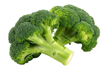 Fresh green broccoli on white background with vibrant and healthy look seen in closeup detail here