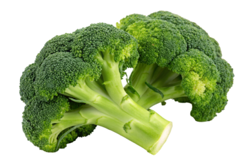 Fresh green broccoli on white background with vibrant and healthy look seen in closeup detail here