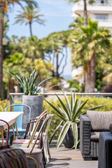 Outdoor terrace with tropical plants and stylish seating in a sunny resort setting
