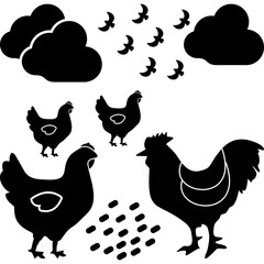 Chicken Feeding Scene