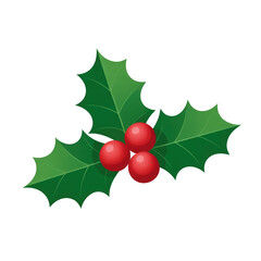 Illustration of holly leaves and red berries on black background for festive holiday decoration