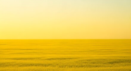 A serene golden landscape featuring a vast field under a soft yellow sky at daytime in summer season