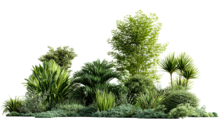 Collection of diverse green plants with transparent background