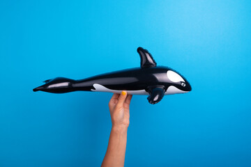Close-up of a hand with yellow nail polish holding a black and white inflatable orca toy against a...