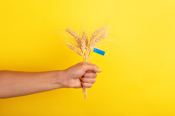 Close-up of a hand holding wheat stalks with a small Ukrainian flag on a yellow background,...