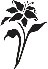 Beautiful romantic flower collection with roses, leaves, floral bouquets, flower compositions