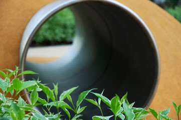 Modern Architectural Detail with Greenery