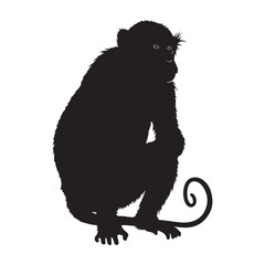 Fototapeta premium black monkey isolated on white background. vector illustration EPS 10.
