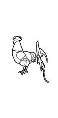 a rooster illustration