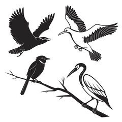 Obraz premium birds on a white background silhouette