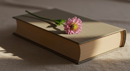 Old book with pink flower on top under soft light symbolizing sweet memory and frozen sadness 