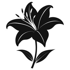 Lily flower — minimal line art vector