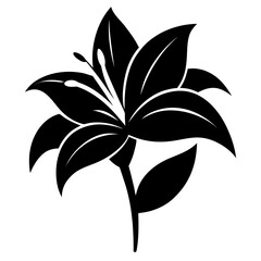 Lily flower — minimal line art vector