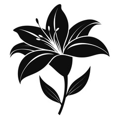 Lily flower — minimal line art vector