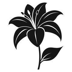 Lily flower — minimal line art vector