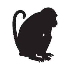 illustration of a monkey silhouette. vector illustration EPS 10. 