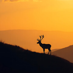 deer in the sunset,  Mountain Deer Sunset Wildlife Landscape Digital Art Collection.png