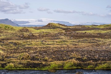 Unesco landscape with moss on Iceland