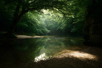 Sunlit Stream: Forest Serenity