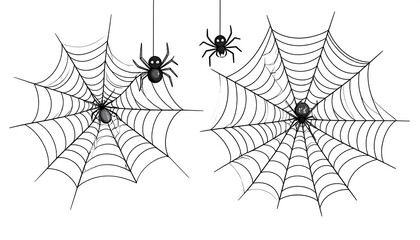 Two spiderwebs with spiders