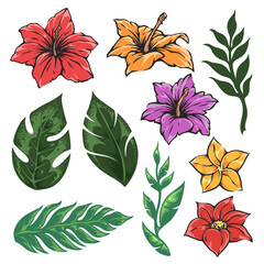 Tropical floral illustrations