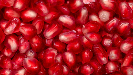 Red background macro pomegranate seed structure