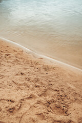 Nature resort photos of beautiful natural landscape - forest - woods, sand.