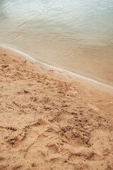 Nature resort photos of beautiful natural landscape - forest - woods, sand.