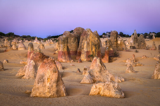 View of towering rock formations rise from the sandy desert under a pastel sky, creating an otherworldly landscape in Nambung, Shire of Dandaragan, Australia.