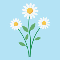 Three delicate white daisies with yellow centers and green leaves bloom on thin stems against a soft blue background evoking a sense of simple natural beauty and springtime