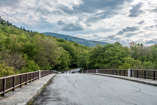 A beautiful view of mountains with lots of lush plants and trees in White Mountain National Forest.
