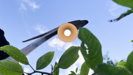 photo of lights behind green leaves