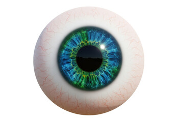 Isolated Detailed Human Eye Iris with Blue and Green Hues