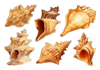 Obraz premium Set of brown conch shells image, isolated on a transparent background