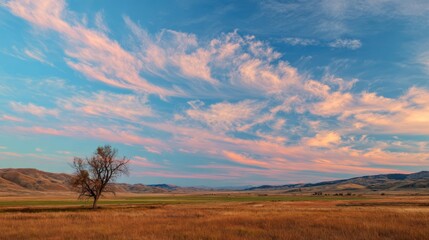 Panoramic view of a lone, leafless tree in a vast field, under a sky filled with layered clouds