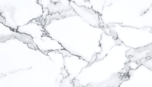 texture marbr&eacute;e blanche r&eacute;aliste avec veines noires &eacute;l&eacute;gantes et fines