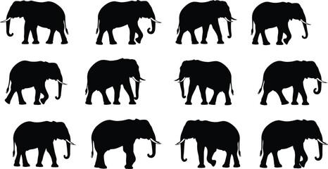 Elephant Silhouette Vector Set – Wild Animal Walking Poses, African Wildlife Icons, Strong and Majestic Elephant Shapes