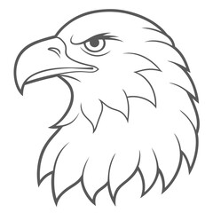 Obraz premium outline of an eagle flying bird
