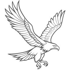 Obraz premium outline of an eagle flying bird