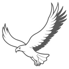 Fototapeta premium outline of an eagle flying bird